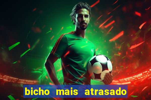 bicho mais atrasado na bahia